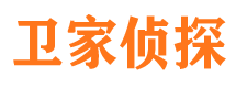 河口区私家调查公司